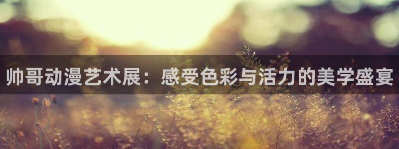 樱花里番动漫：帅哥动漫艺术展：感受色彩与活力的美学盛宴