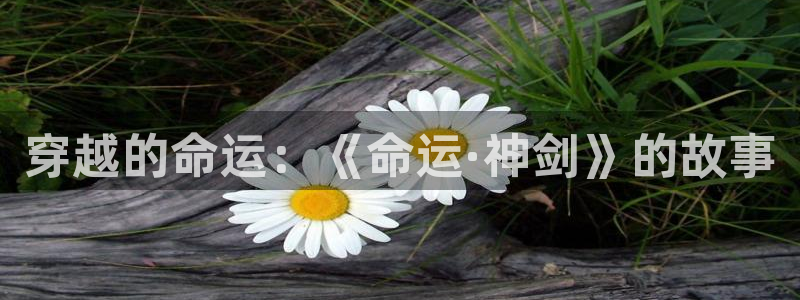 免费看里番动漫：穿越的命运：《命运·神剑》的故事
